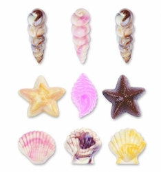 Plastová forma (na čokoládu) - Mořské plody / Mušle, hvězdice