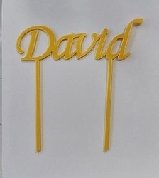 Zápich zlatý se jménem - David