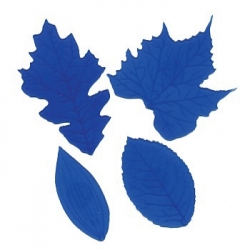 Žilkovače listů - modrá sada