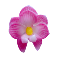 Modelované květinky - ORCHIDEJ růžová / 1 ks 