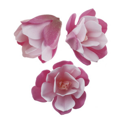 Sada květin z jedlého papíru - MAGNOLIE růžové /6 ks