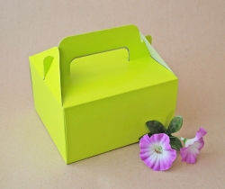 Krabička na cukroví - Jablkově zelená s ouškem / 16 x 14 x 9 cm