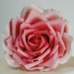 Vykrajovátko plastové - Růže (Petal Rose) / 6,5 cm